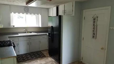 134 W Maple, Muir, MI 48860 photo 9