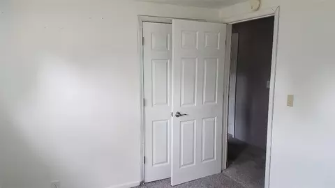 134 W Maple, Muir, MI 48860 photo 18