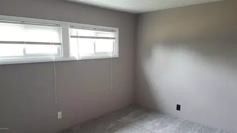 134 W Maple, Muir, MI 48860 photo 16