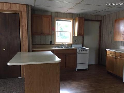 294 Goodwin, Crystal, MI 48818 photo 2