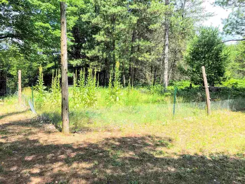 2029 E 6 Mile, White Cloud, MI 49349 photo 14