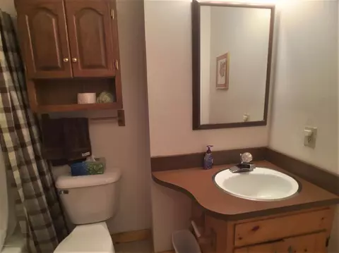 13585 Easy, Harbert, MI 49115 photo 11