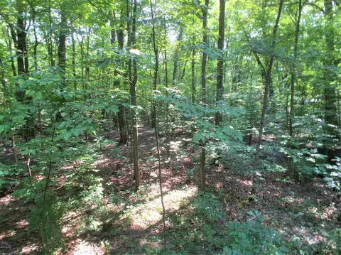 13585 Easy, Harbert, MI 49115 photo 21