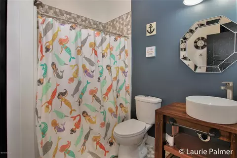 235 N Robinson, Lyons, MI 48851 photo 21