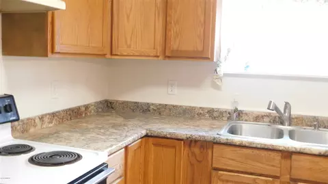 16530 Bailey, Bailey, MI 49303 photo 16