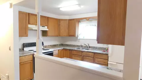 16530 Bailey, Bailey, MI 49303 photo 17