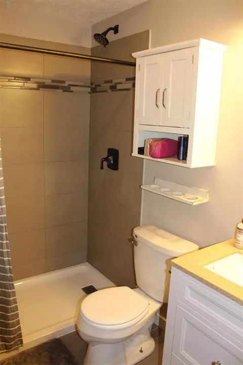 218 Pine Mdw, Belding, MI 48809 photo 40