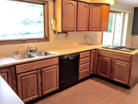 17262 Outer, Big Rapids, MI 49307 photo 6