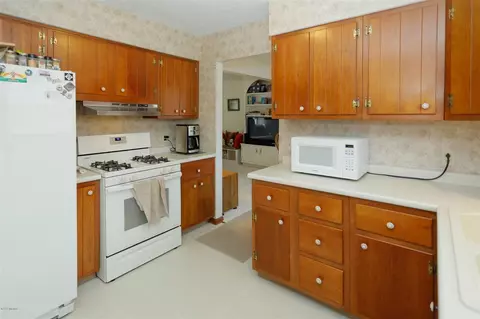 15869 Null, Three Rivers, MI 49093 photo 10