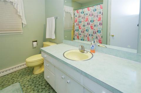57685 Walnut, Three Rivers, MI 49093 photo 20