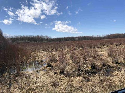 34800 68th, Covert, MI 49043 photo 3