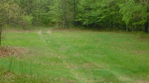 1120 N Wisner, White Cloud, MI 49349 photo 14