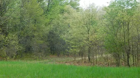 1120 N Wisner, White Cloud, MI 49349 photo 16