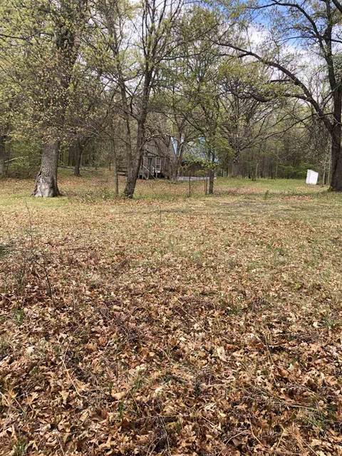 1022 W Echo, White Cloud, MI 49349 photo 15