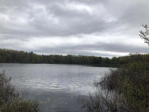 1022 W Echo, White Cloud, MI 49349 photo 2