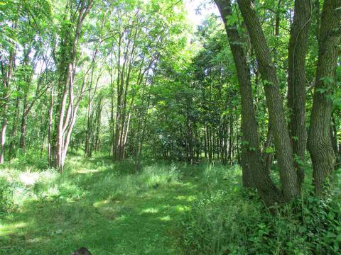 132 E Rose, Coldwater, MI 49036 photo 28