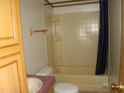 7430 Lessiter, Belding, MI 48809 photo 19