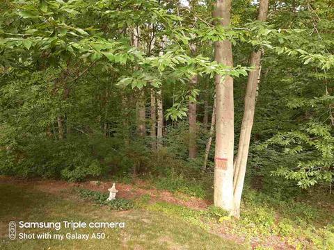 8472 Third, Onekama, MI 49675 photo 50