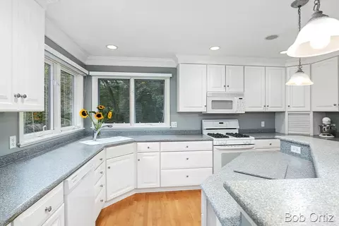 7343 Oakhaven, Ada, MI 49301 photo 8