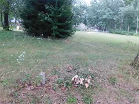 139 S Webster, White Cloud, MI 49349 photo 53