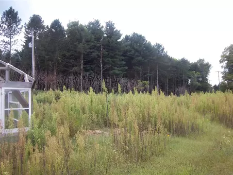 4320 E Reading, Osseo, MI 49266 photo 39