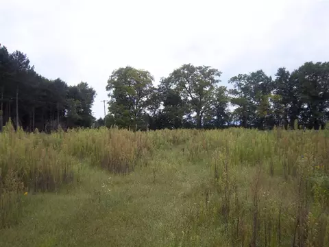 4320 E Reading, Osseo, MI 49266 photo 40