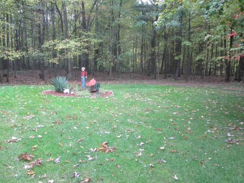 5397 E 80th, Newaygo, MI 49337 photo 10