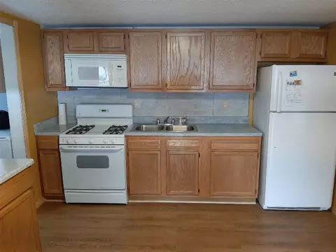 244 Hewlett, Remus, MI 49340 photo 22