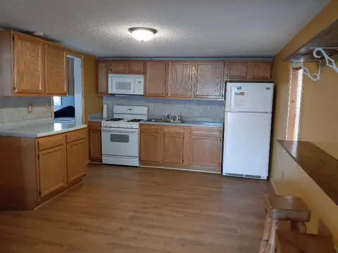 244 Hewlett, Remus, MI 49340 photo 11