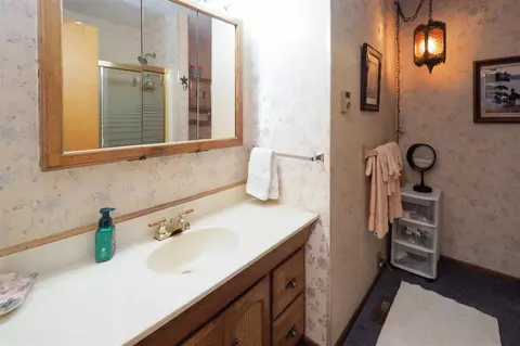 851 Vinewood, Mendon, MI 49072 photo 15