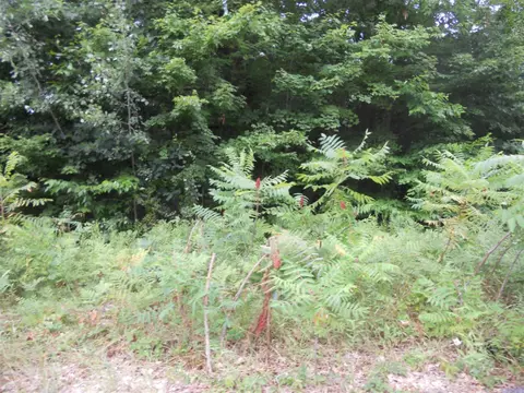 4068 Ronalds, Dorr, MI 49323 photo 1
