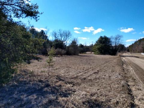 3984 E 48th St, Newaygo, MI 49337 photo 3