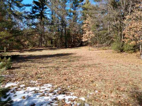 3984 E 48th St, Newaygo, MI 49337 photo 5