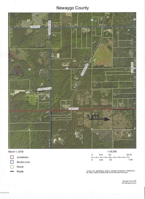 3984 E 48th St, Newaygo, MI 49337 photo 6
