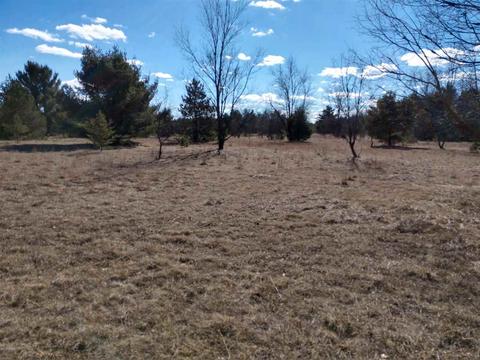 3984 E 48th St, Newaygo, MI 49337 photo 4