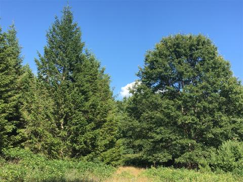896 N 56th, Mears, MI 49436 photo 3