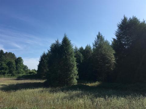896 N 56th, Mears, MI 49436 photo 5