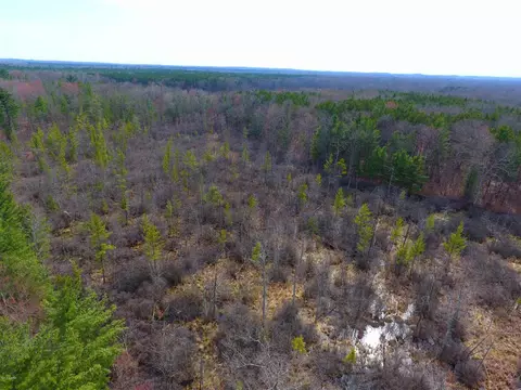 700 W Echo, White Cloud, MI 49349 photo 3