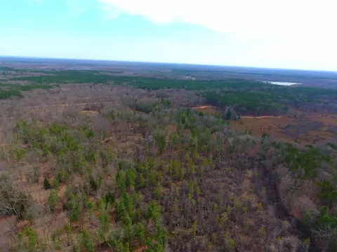700 W Echo, White Cloud, MI 49349 photo 2