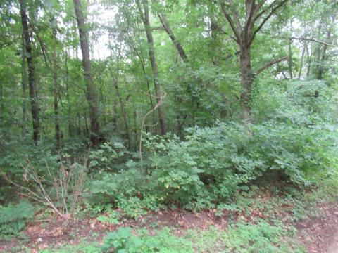 Tract #1 Walnut, Dowagiac, MI 49047