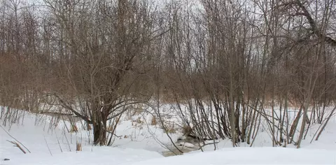 1136 7 Mile, Sears, MI 49679 photo 8