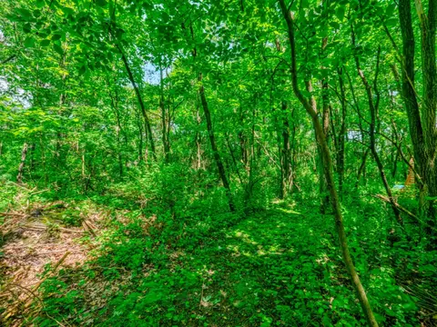 1167 102nd, Plainwell, MI 49080 photo 60