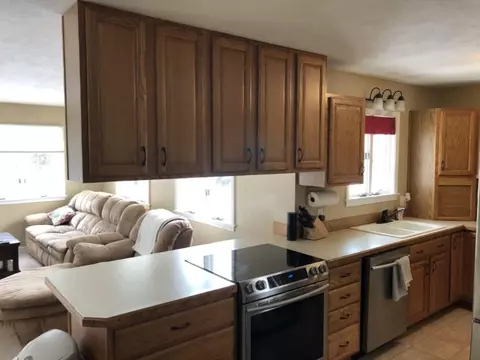311 Johnson, Edmore, MI 48829 photo 8