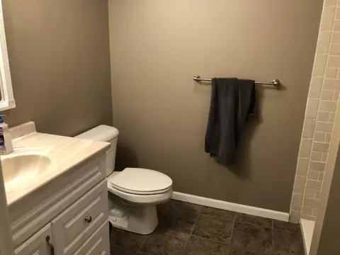 311 Johnson, Edmore, MI 48829 photo 26
