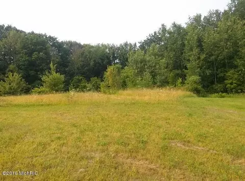 1287 Paige, Bailey, MI 49303 photo 10