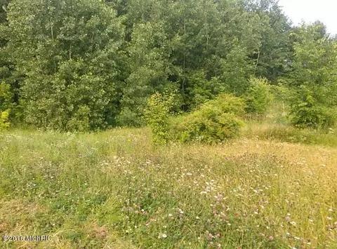 1287 Paige, Bailey, MI 49303 photo 6
