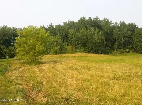 1287 Paige, Bailey, MI 49303 photo 2
