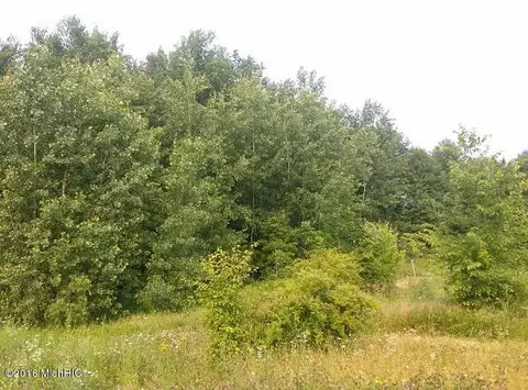 1287 Paige, Bailey, MI 49303 photo 8
