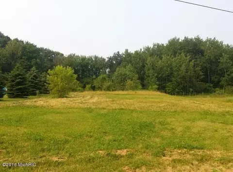 1287 Paige, Bailey, MI 49303 photo 1