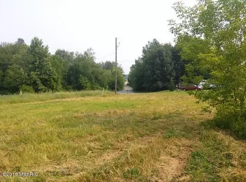 1287 Paige, Bailey, MI 49303 photo 3